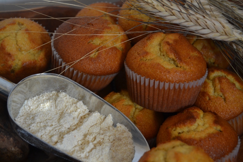Des muffins avec de la farine de bl&eacute; khorasan
