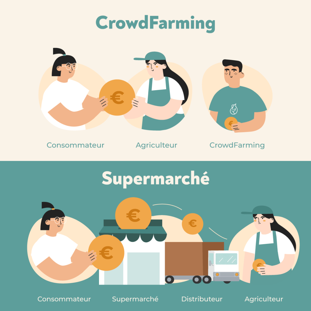 Illustration d'un canal de vente directe entre un consommateur et un agriculteur et un canal de vente avec des interm&eacute;diraires (supermarch&eacute; et distributeur)