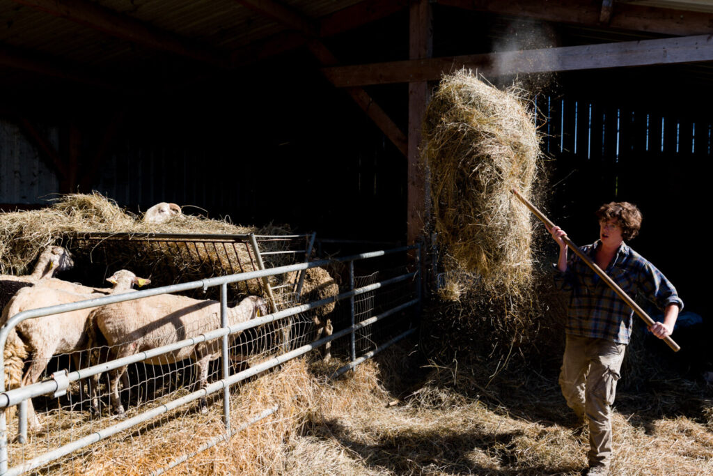 contadino in fattoria