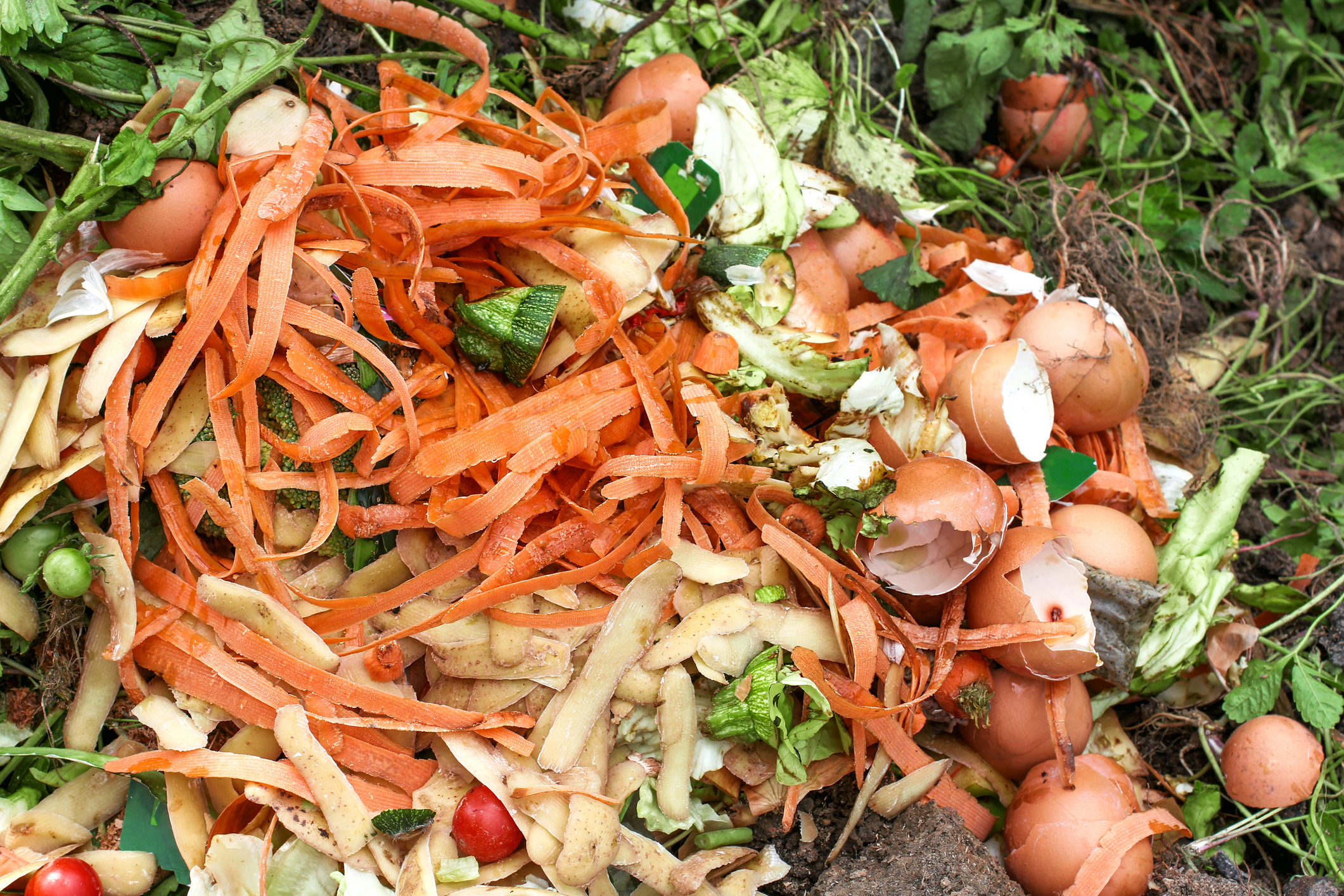 D&eacute;chets de cuisine compostables