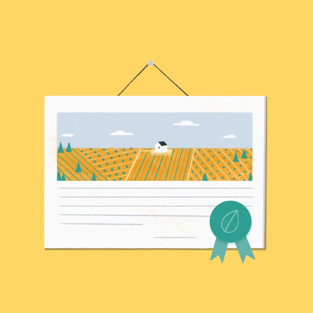 Illustration of an organic certificate
