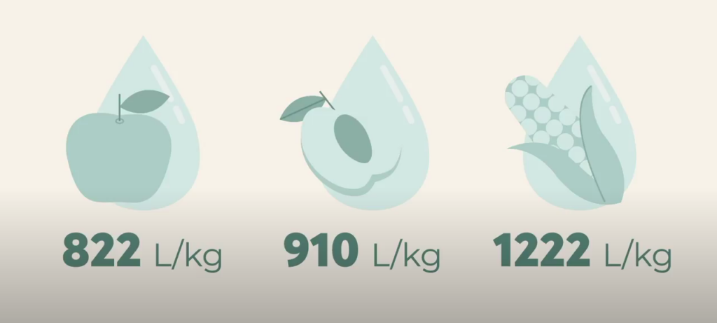 Illustration of an apple, apricot and corn on the cob with a drop of water