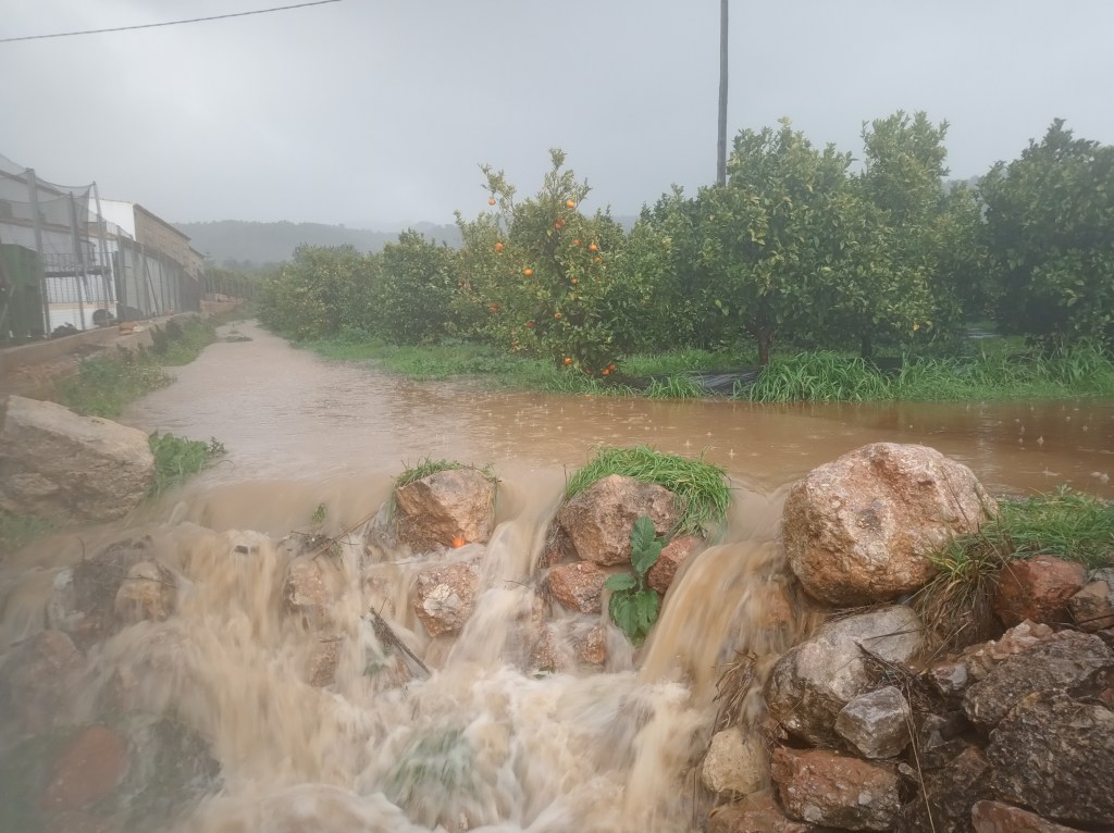 Regen und Sturm auf den Orangenfeldern