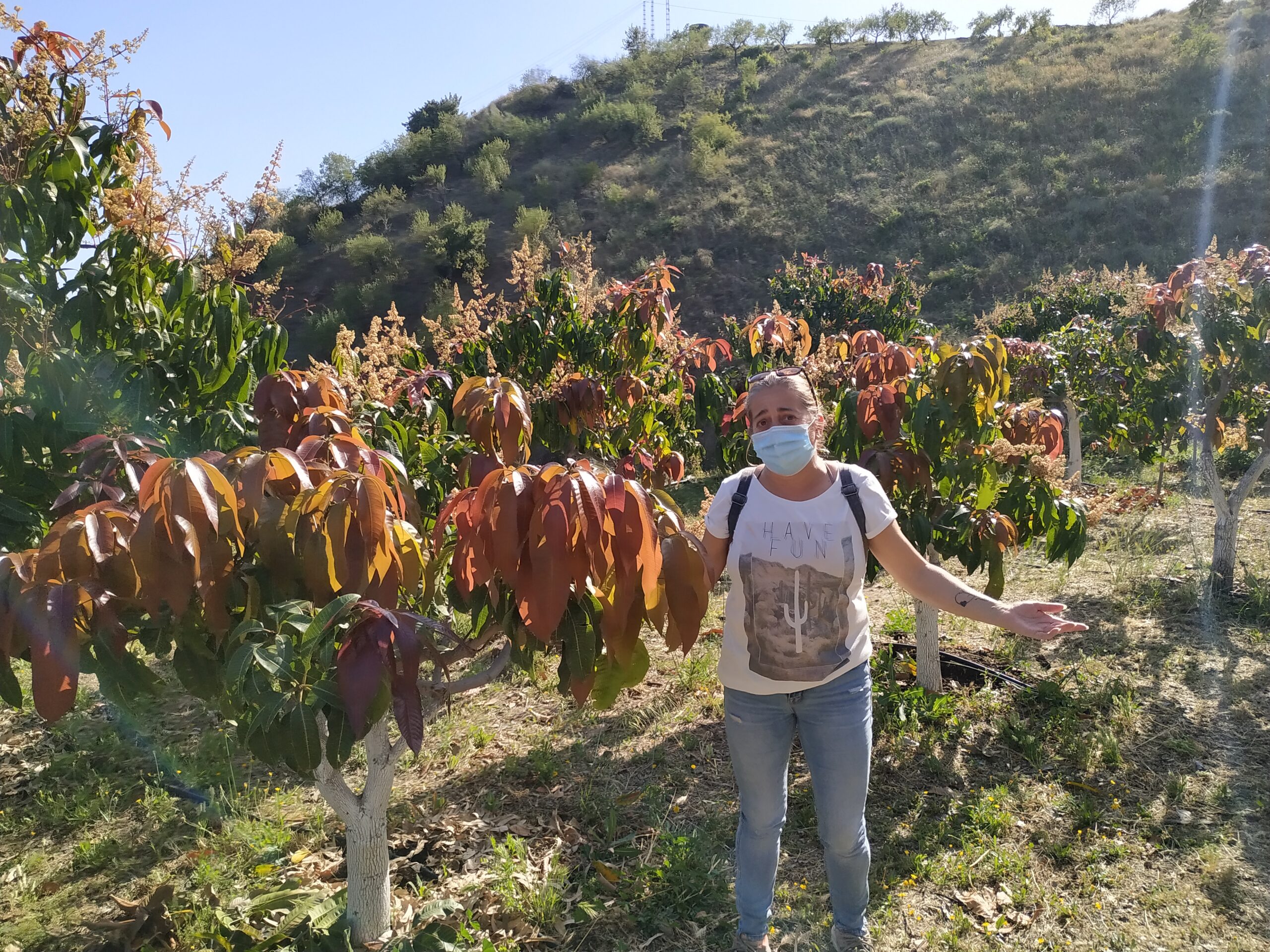 L'agricultrice Maria Lu&iacute;sa entour&eacute;e de manguiers br&ucirc;l&eacute;s par le soleil