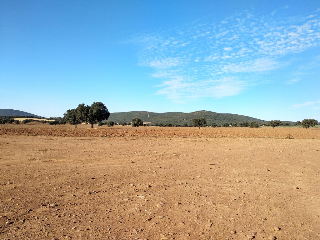 A dry field with a blue sky