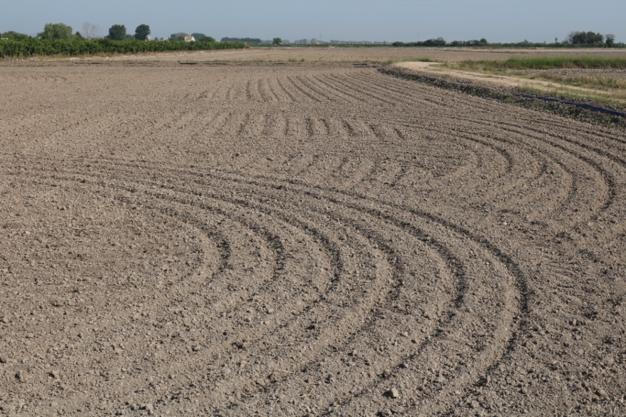 A fallow field in the Riuet farm