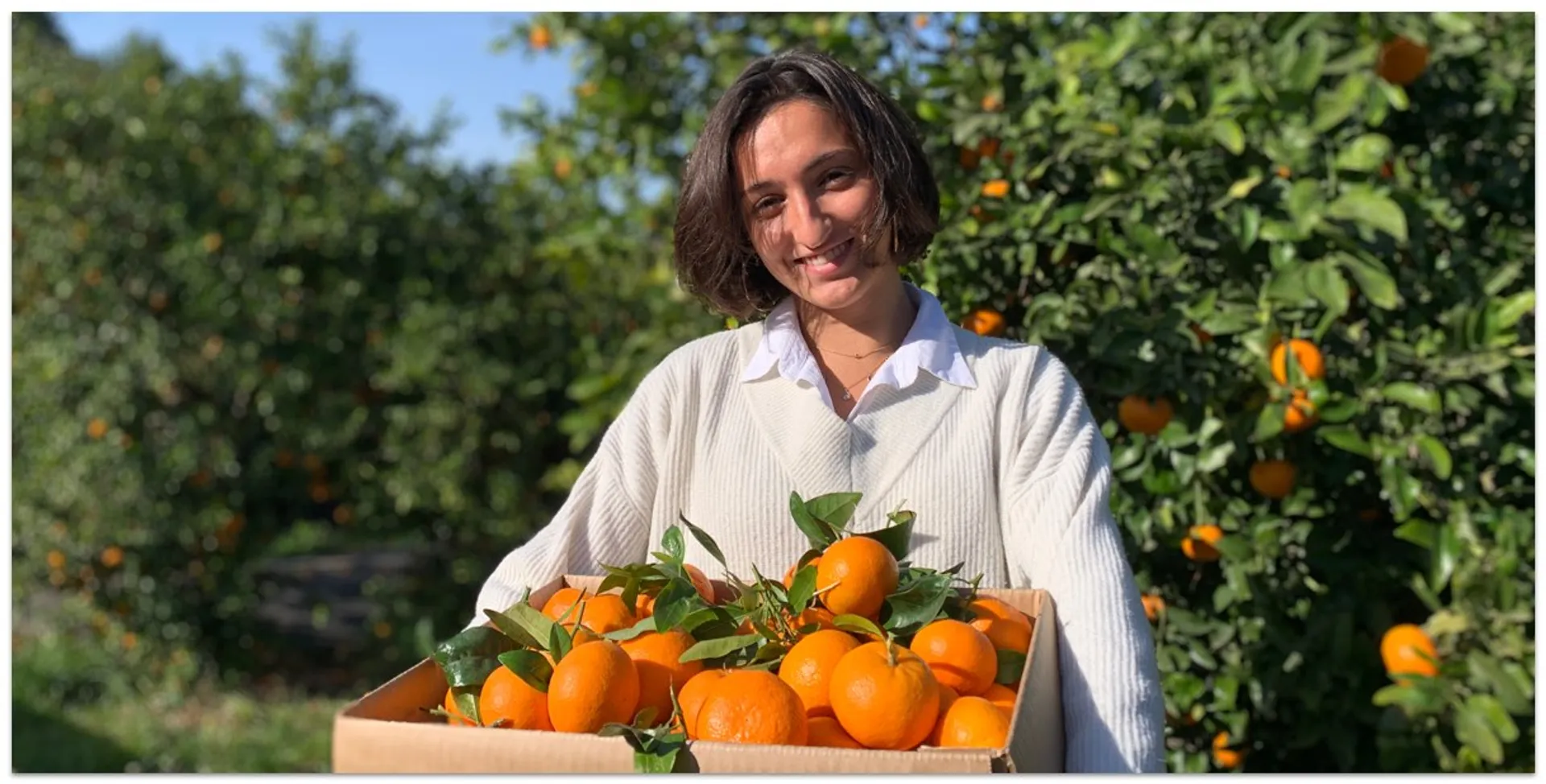 This image has an empty alt attribute; its file name is informationprojectpicture-2-Clementinas-Barranc-de-Llop-1024x520.jpg