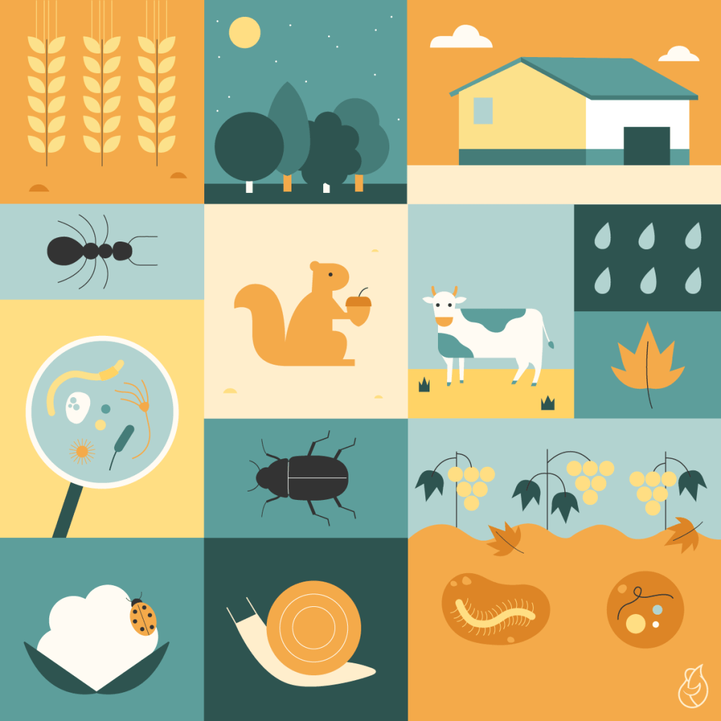 Die Illustration mit den in das Konzept der regenerativen Landwirtschaft integrierten Elementen