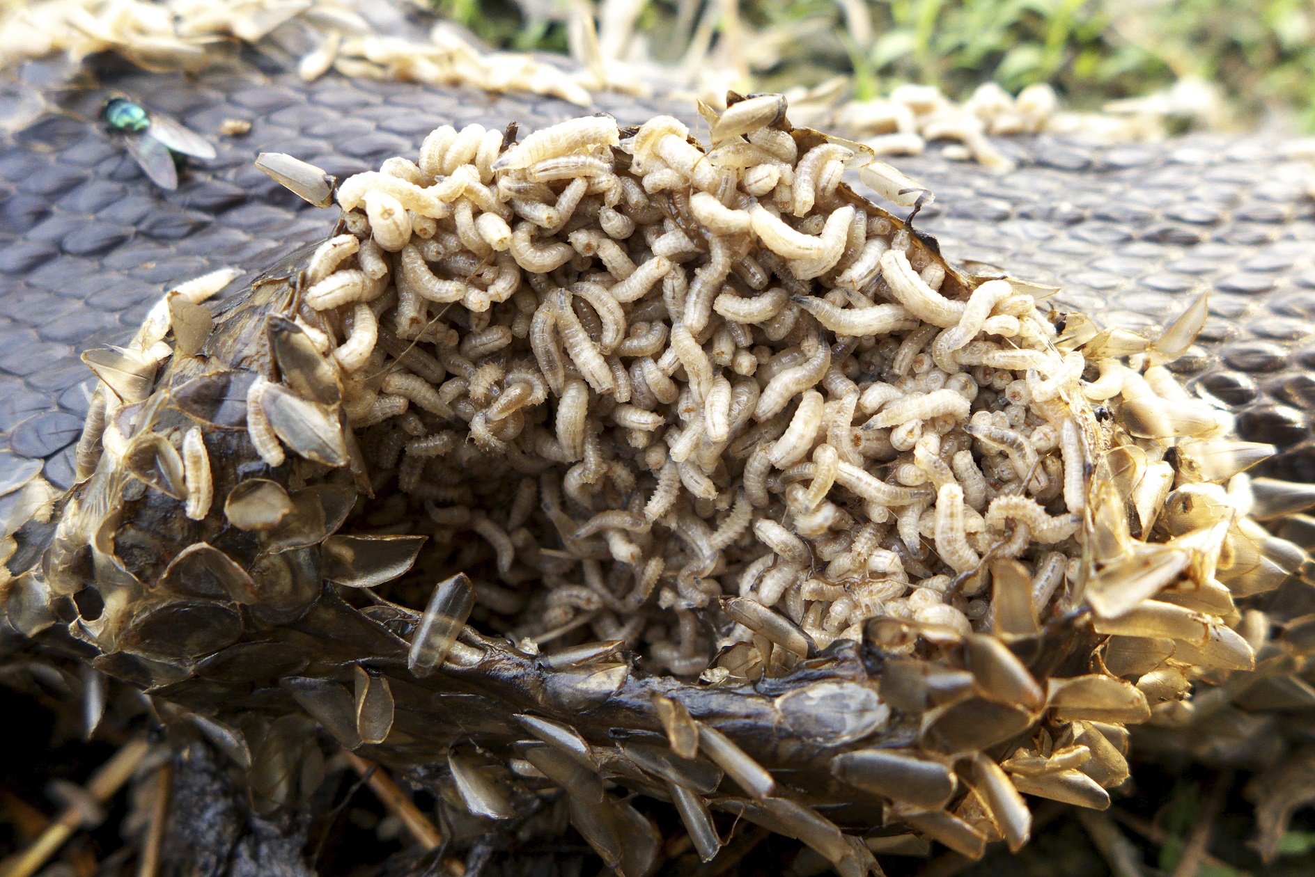 Les éboueurs font leur travail. D'ici quelques heures, la place sera propre.