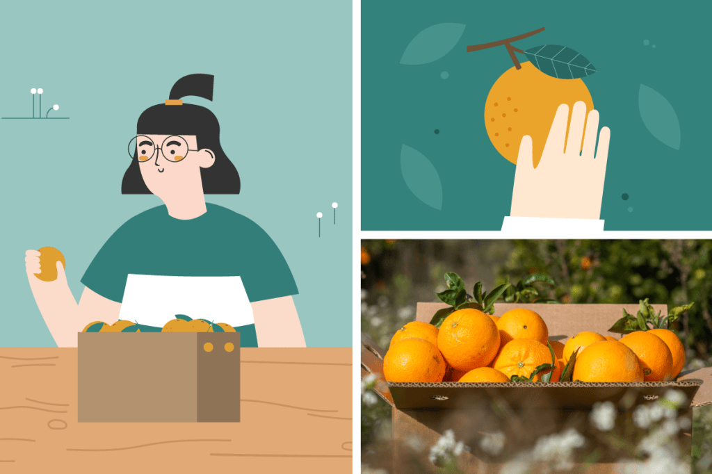 Grafik einer Frau mit einer Schachtel Orangen und einer Orange auf dem Baum