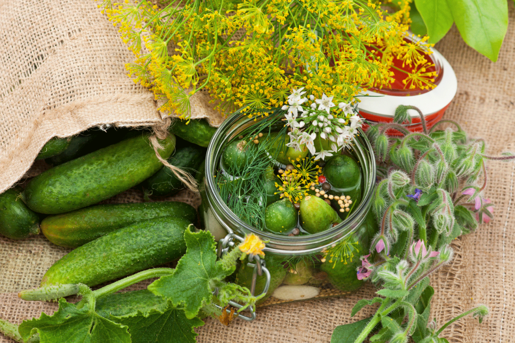 A jar with Spreewald cucumbers