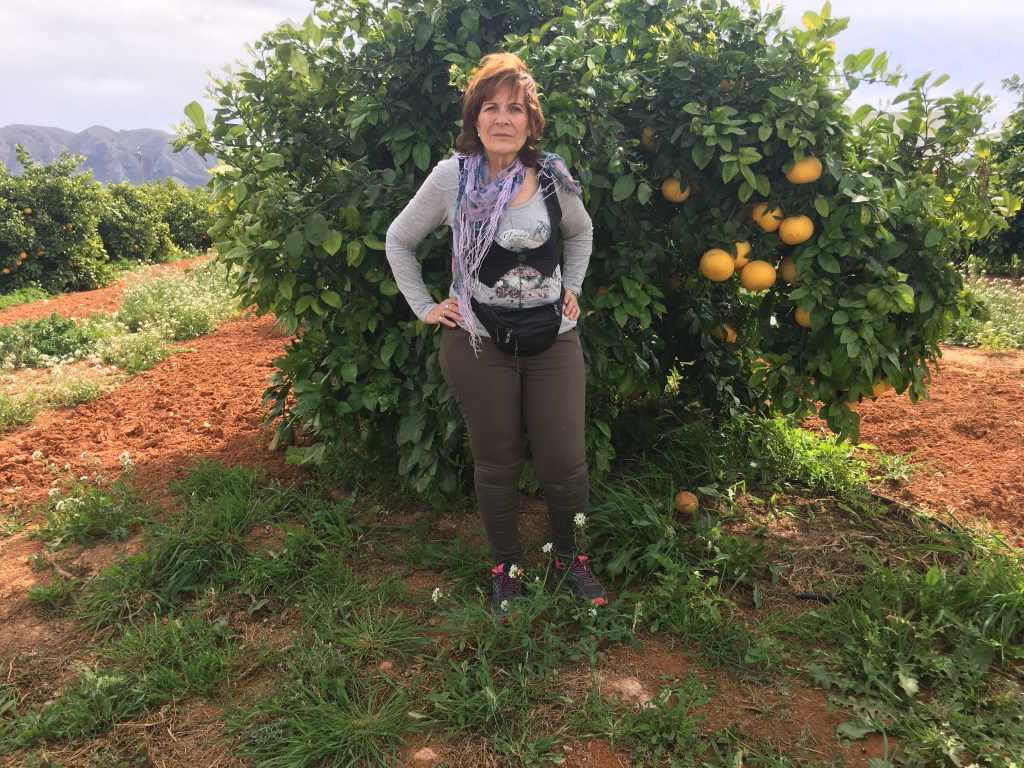 L'agricultrice Carmen dans un champs de pamplemoussier avec des pamplemousses