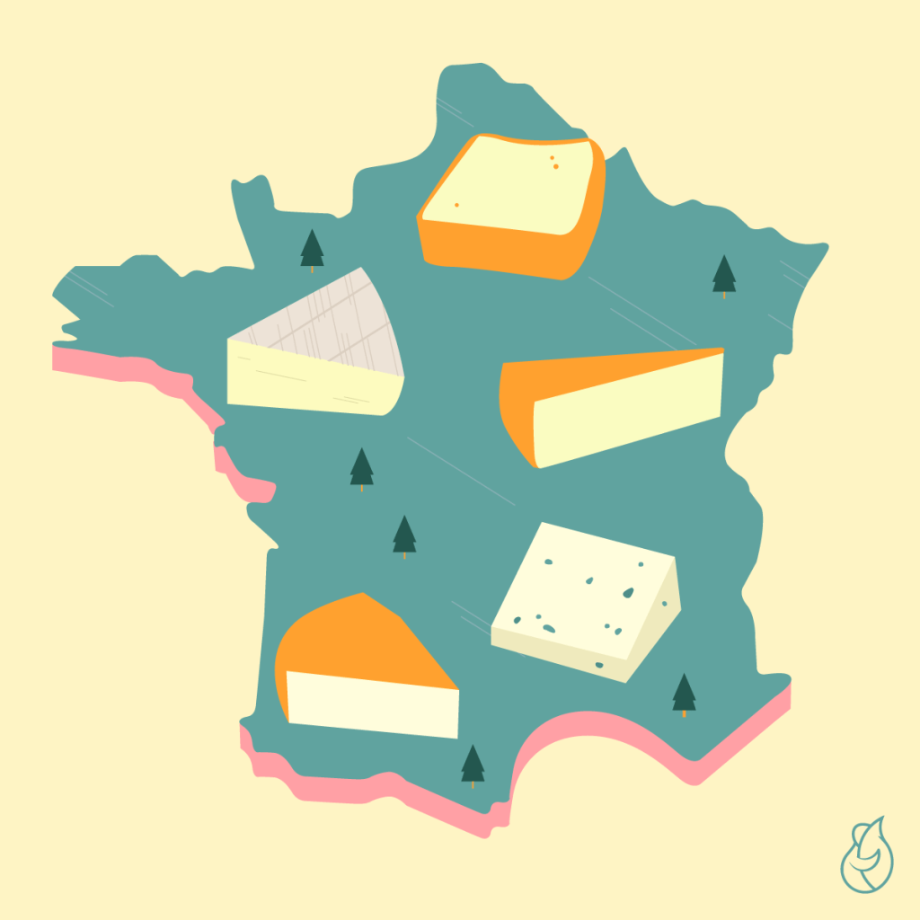 Grafrik von Frankreich mit mehreren Käsestücken: Comté, Roquefort, Camembert
