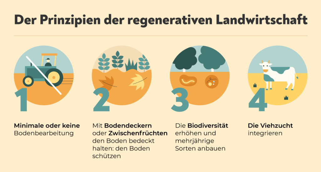 Die Prinzipien der regenerativen Landwirtschaft