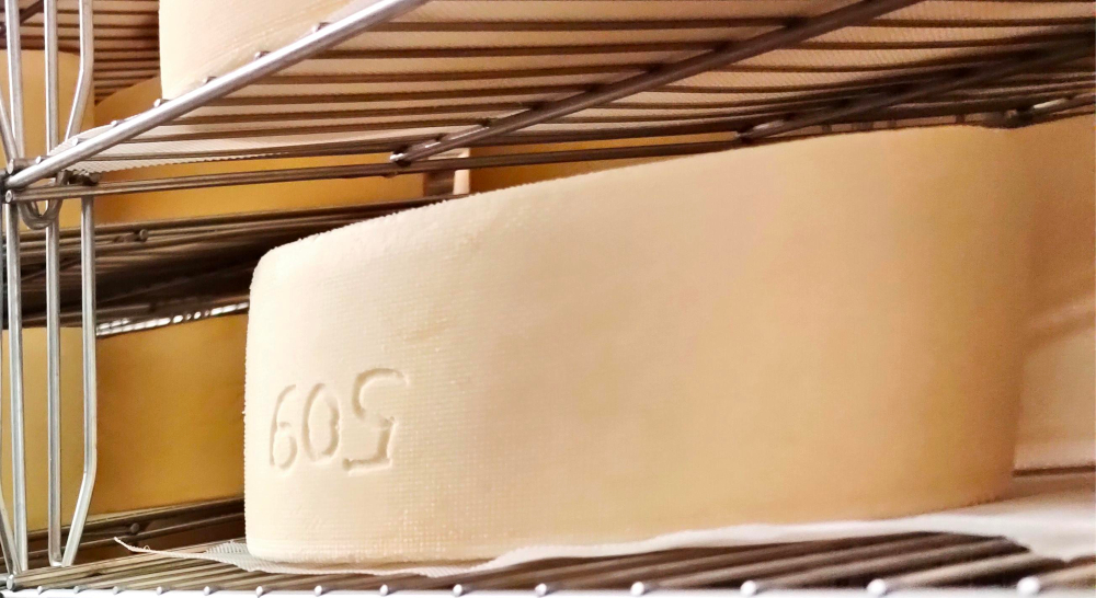 Sheep cheese on a shelf