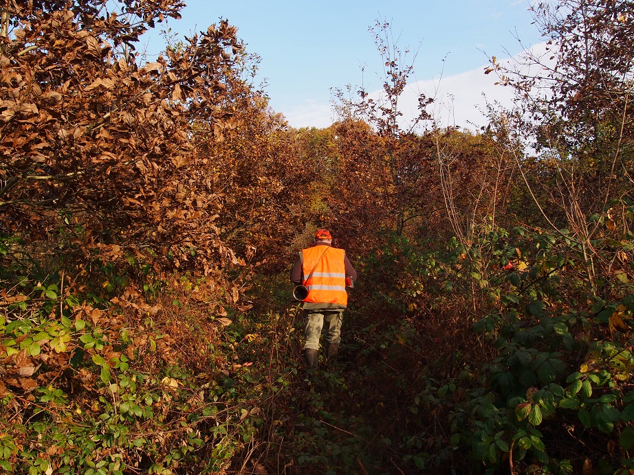 La peur des ronces et l'amour de la chasse sont incompatibles.