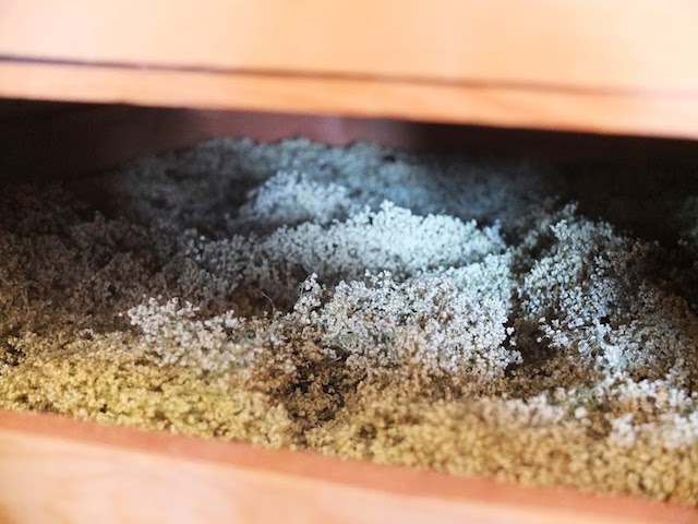 Opération séchage à la ferme du Kablin.